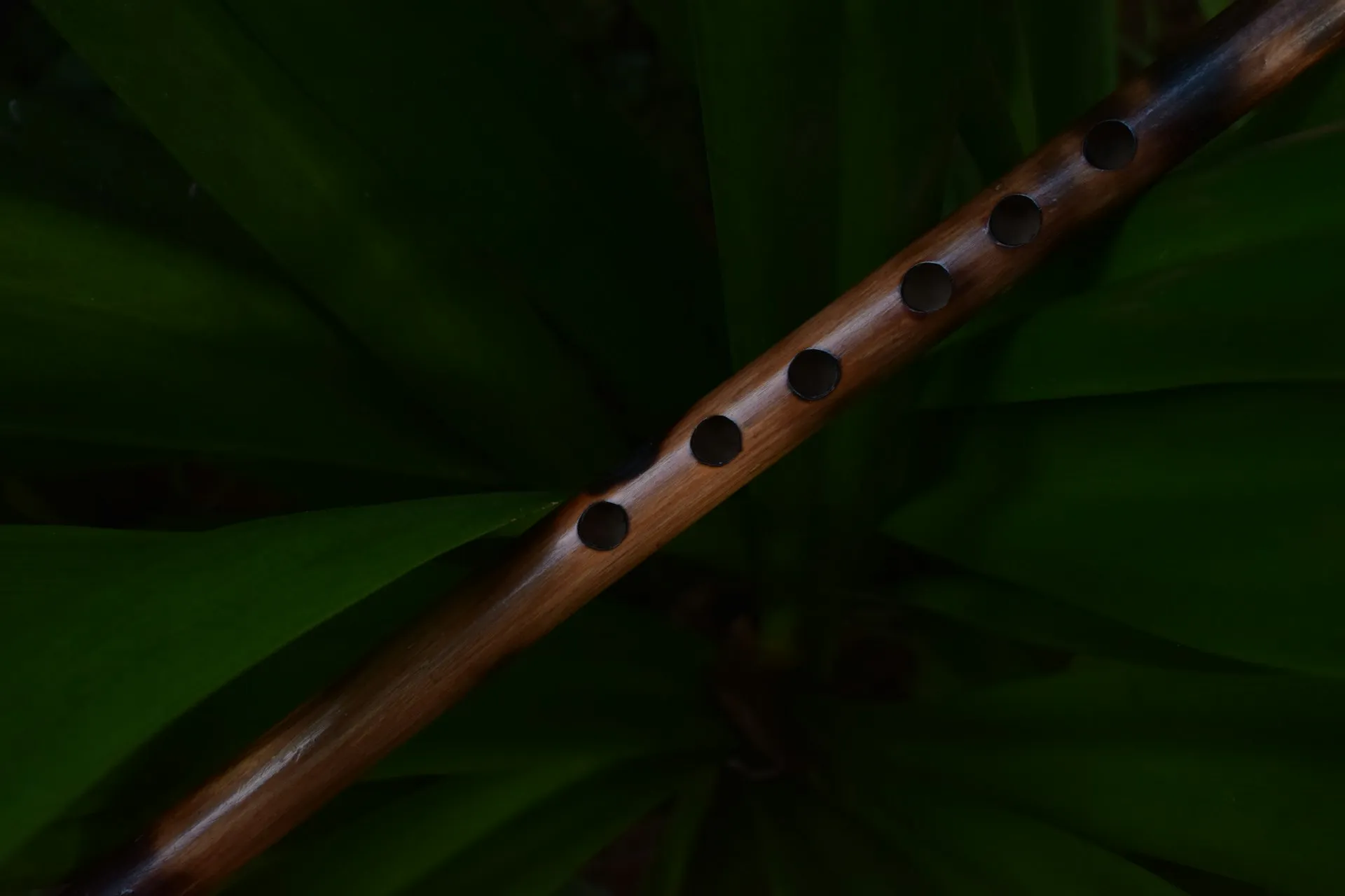 The Magic Flute