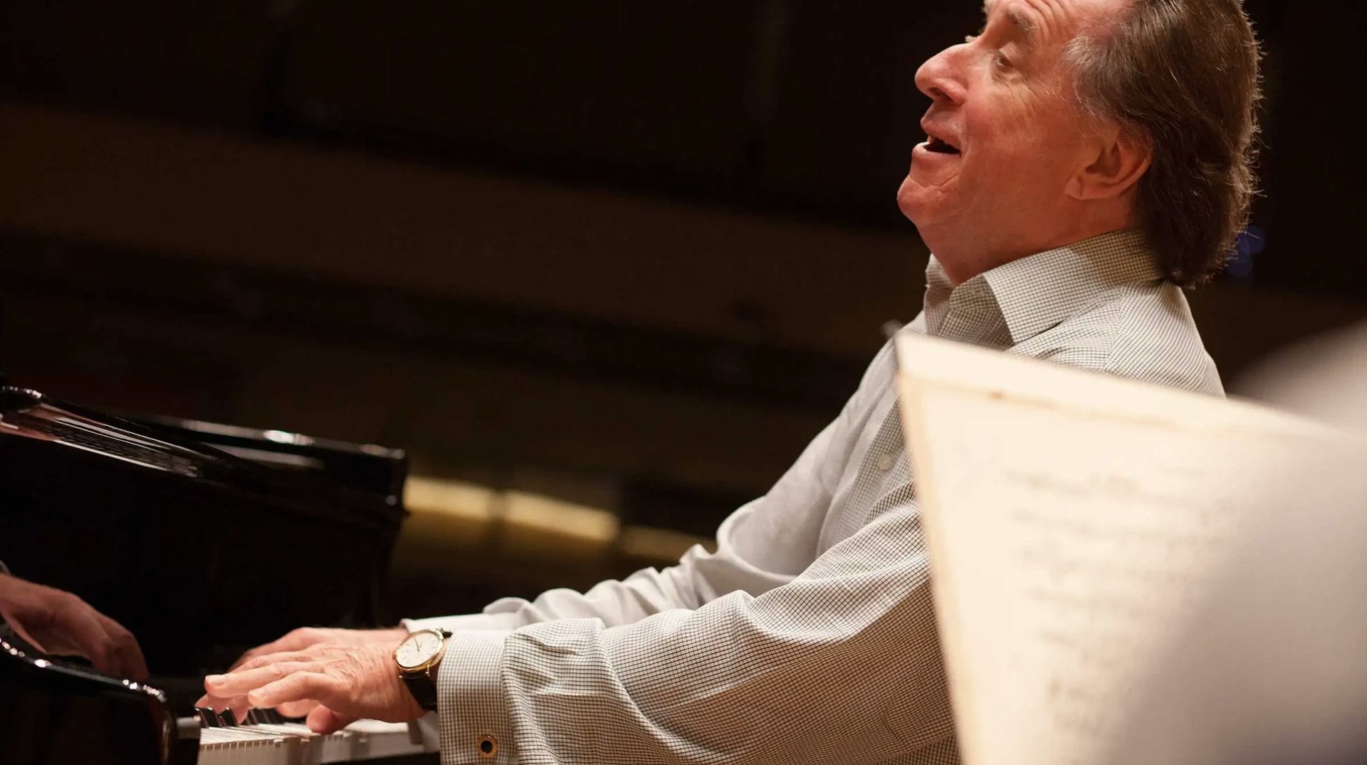 Rudolf Buchbinder, Piano