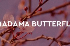 Madama Butterfly Puccini Festival 2026