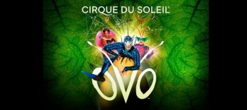Cirque du Soleil, OVO