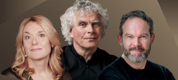 Камерный оркестр фестиваля Вербье