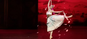 The Wayward Daughter