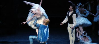 Illusions, Like Swan Lake