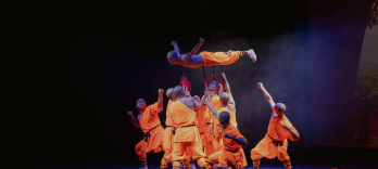 The Monks of Shaolin Kung Fu