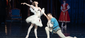 イリュージョンズ 〜白鳥の湖のように〜 バレエ