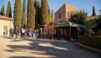 Catacombs of Saint Callixtus