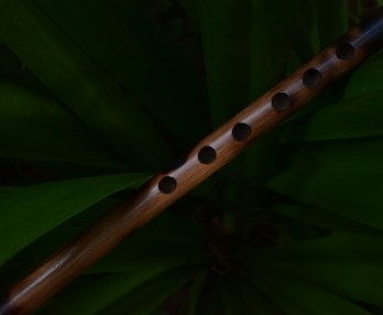 La Flûte enchantée