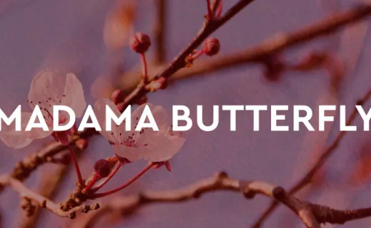 Madama Butterfly Puccini Festival 2026