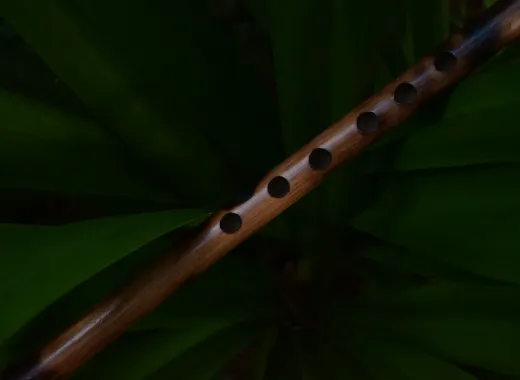 The Magic Flute