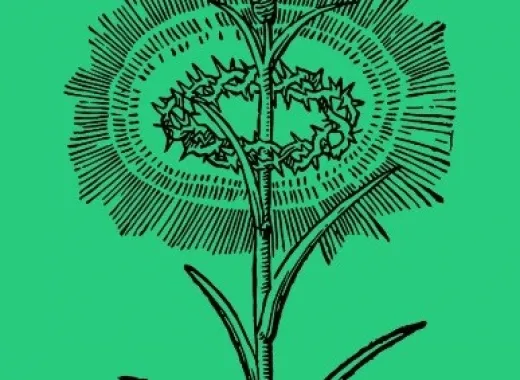 Nisi Dominus