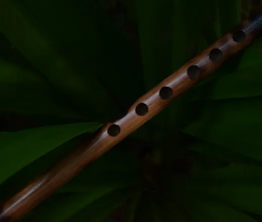 La Flûte enchantée