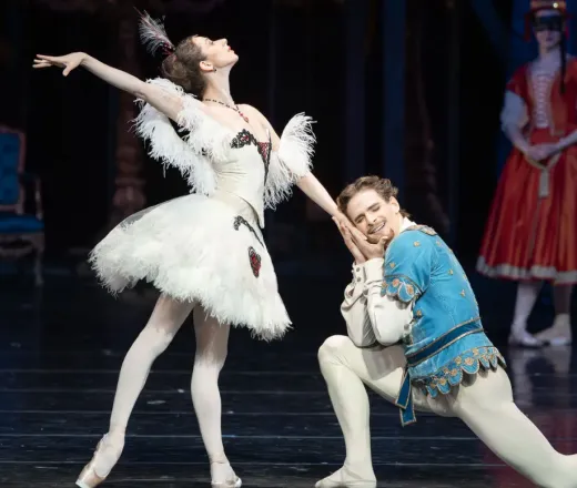 Illusions, Like Swan Lake Ballet